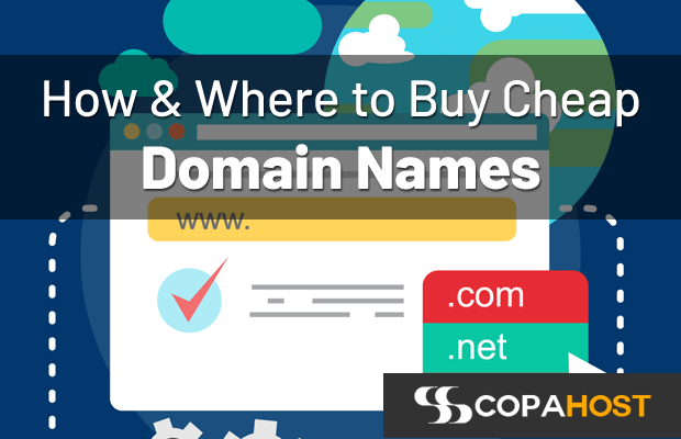 Where to Buy a Domain Name