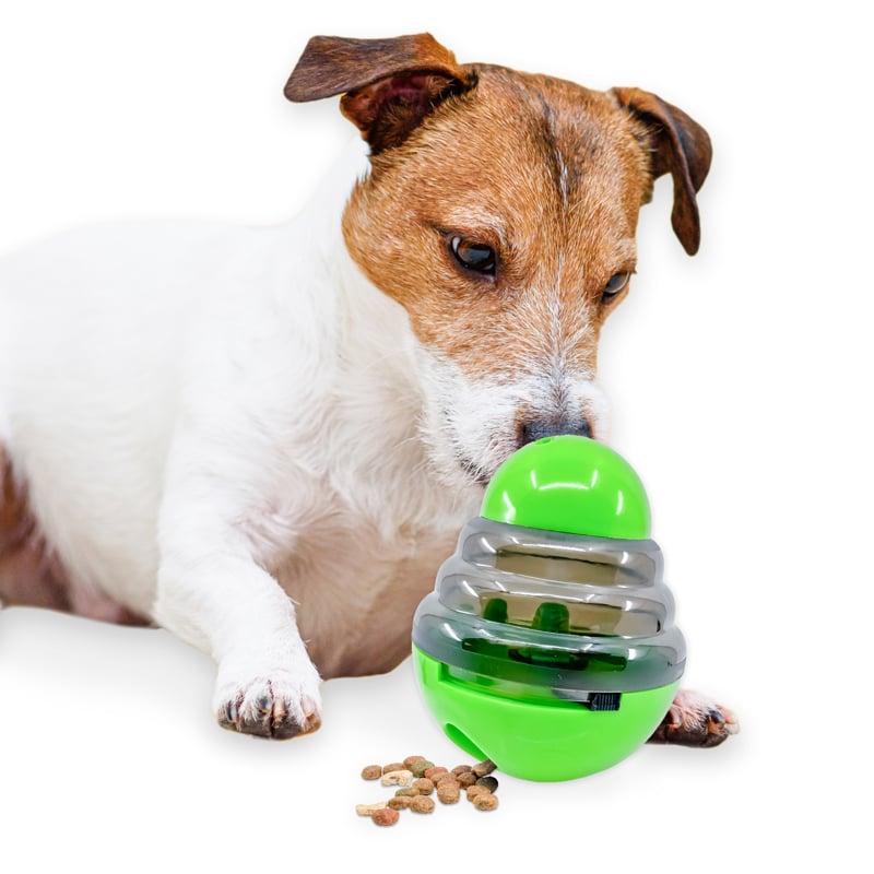 Pet accessories and access to dog products for pet lovers. Flippo Marketplace