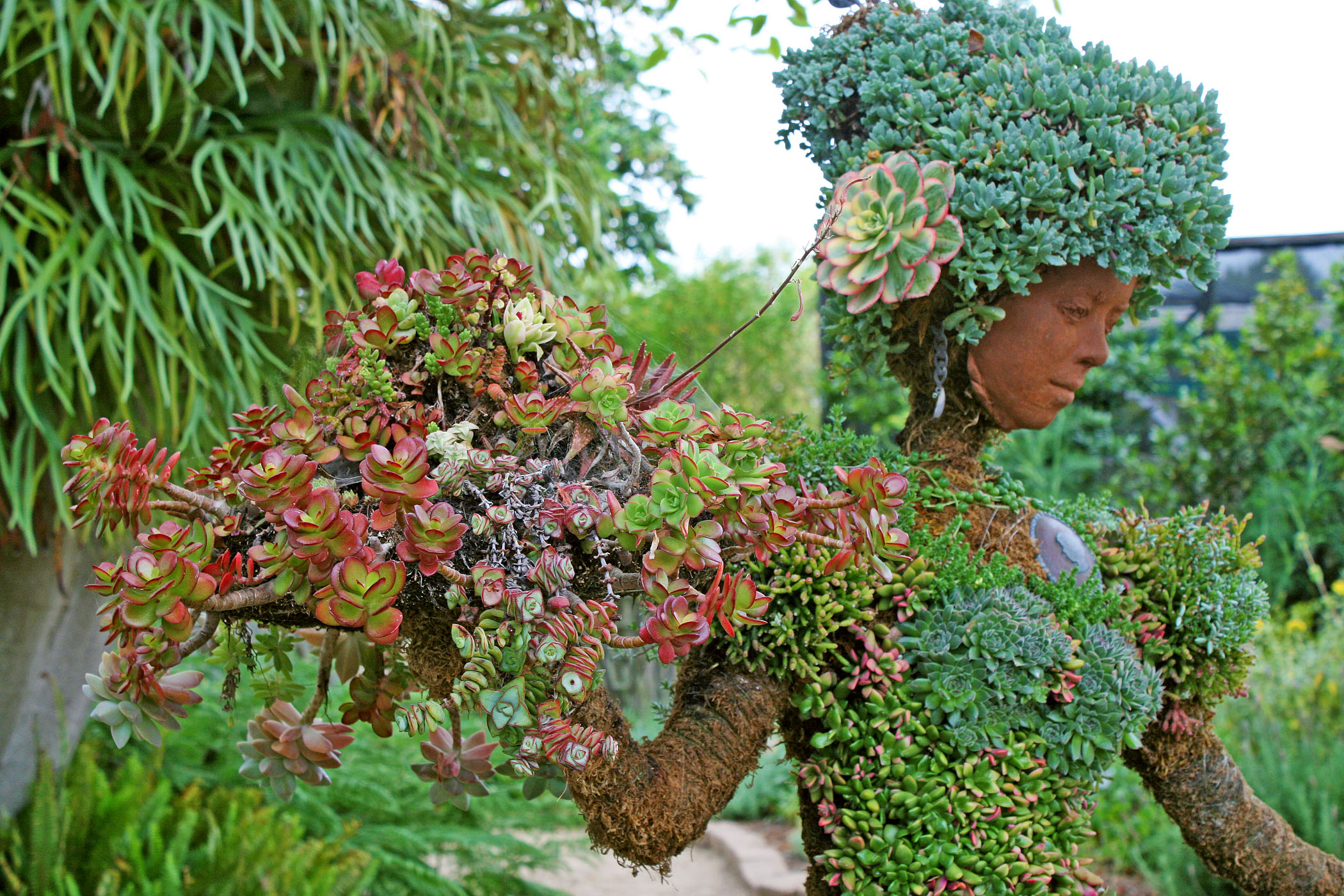 Visit a botanical paradise and explore a diverse plant collection at Fletcher Plant Flippo Marketplace